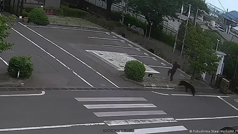 Câmera registrou ataque de urso em fábrica em Fukushima