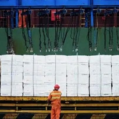 Klabin aprova programa de recompra de 31,25 milhões de ações ordinárias