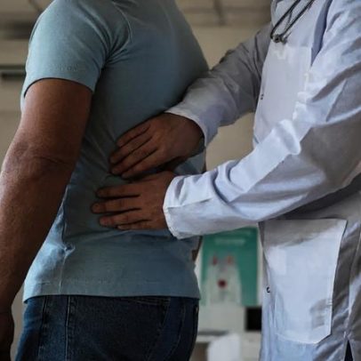 Transplantes entre espécies: avanços e desafios com rins e fígados de porco
