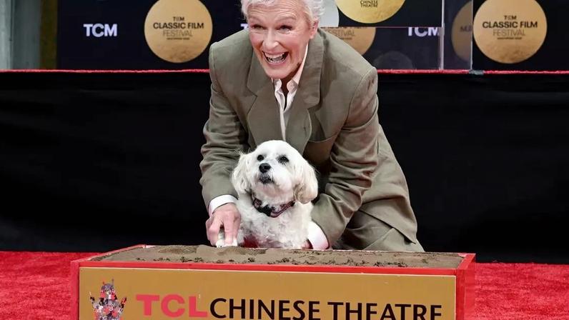 Glenn Close recebeu uma grande homenagem em Hollywood e levou seu adorável cachorro para a cerimônia. Confira os detalhes e os famosos que marcaram presença
