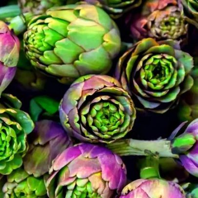 Alcachofra, rica em fibras e vitaminas, entra na lista de compras