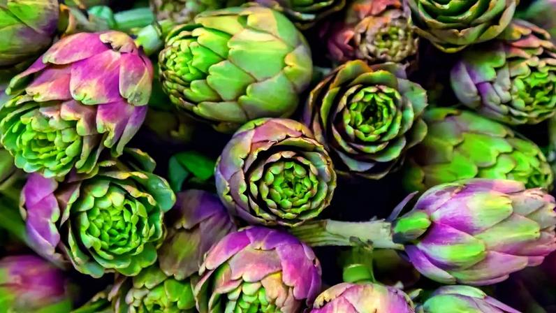 Alcachofra, rica em fibras e vitaminas, entra na lista de compras