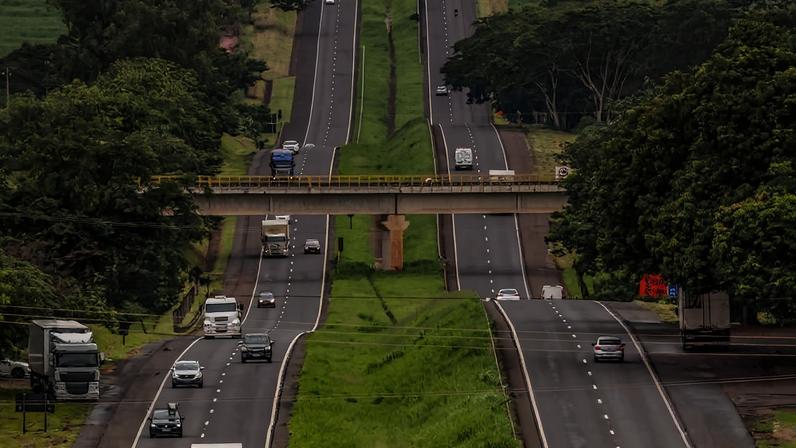 Rodovia de pista dupla com veículos leves e caminhões trafegando em ambas as direções. Viaduto cruza a rodovia ao centro, com vegetação densa e árvores grandes nas laterais e no canteiro central.