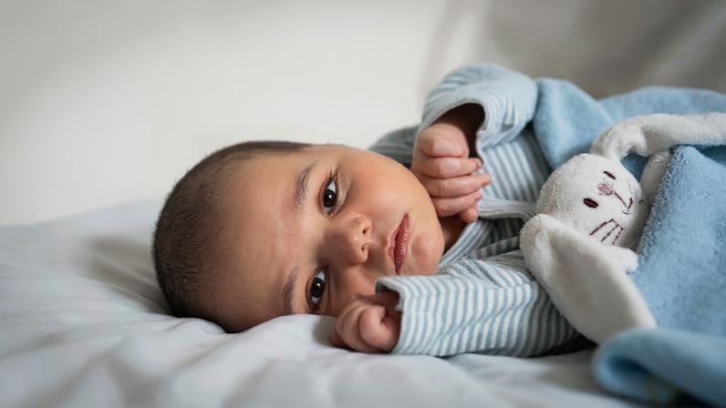 Foto: Reprodução/Shutterstock