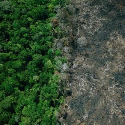 Relatório dos EUA aponta avanço da soja e pico de desmatamento sob Bolsonaro