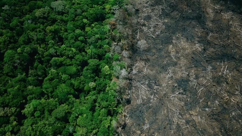 Área desmatada em cena captada por vídeo-reportagem da Folha sobre estradas na Amazônia