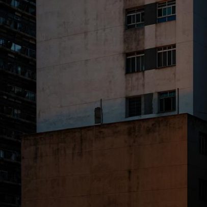 Regina Dalcastagnè redefine a paisagem da literatura brasileira