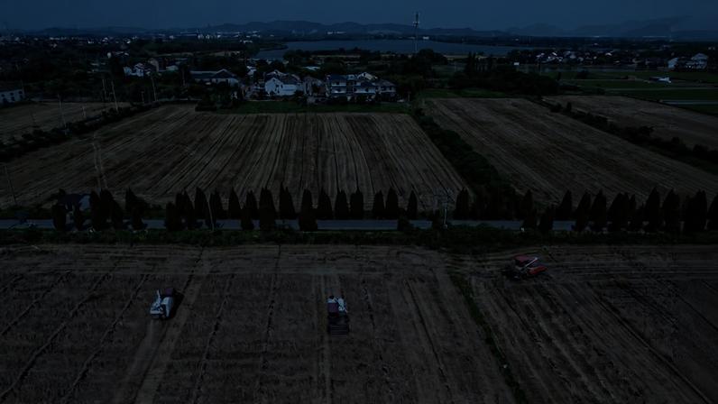 Máquinas agrícolas trabalham durante colheita na vila de Yantang, na província de Zhejiang, no leste da China