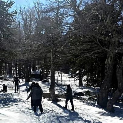 Araucanía no Chile convida viajantes a desacelerar entre vulcões e neve