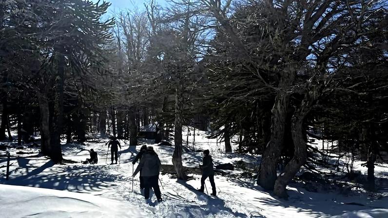 Centro de ski de Corralco, na região da Araucanía, no Chile