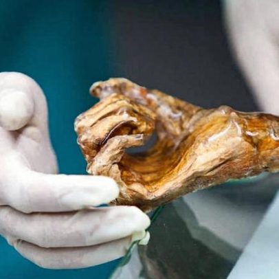 Cientistas revelam diversidade microbiana de Ötzi, o Homem do Gelo