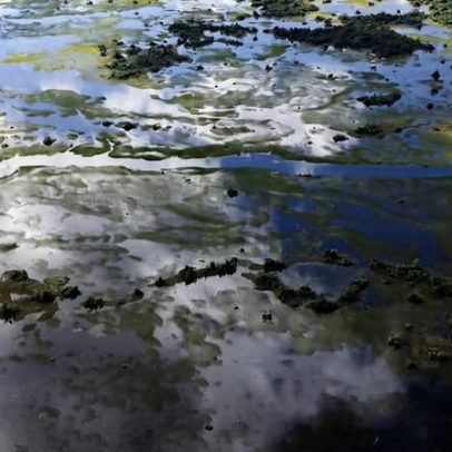 Pantanal volta a encher após anos de secas e incêndios, ao menos por enquanto