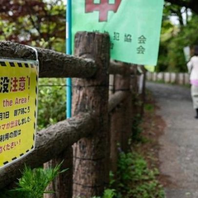 Urso invade área urbana em Fukushima e fere quatro pessoas