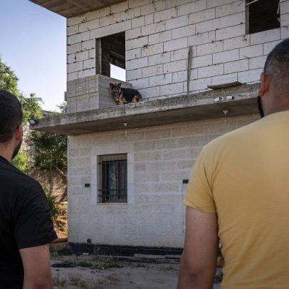 Crueldade contra animais choca palestinos na Cisjordânia