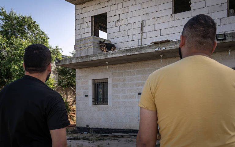 Dois homens de costas, um com camiseta preta e outro amarela, observam um cachorro sentado na laje de um prédio em construção com paredes de blocos brancos. Vegetação e céu claro ao fundo.