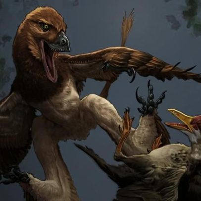 Predador de 120 milhões de anos que caçava aves é identificado