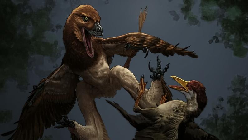 Novo microraptor Jian changmaensis (à esquerda) ataca a ave primitiva Gansus yumenensis (à direita) no que hoje é a Bacia de Changma, no noroeste da China, há aproximadamente 120 milhões de anos