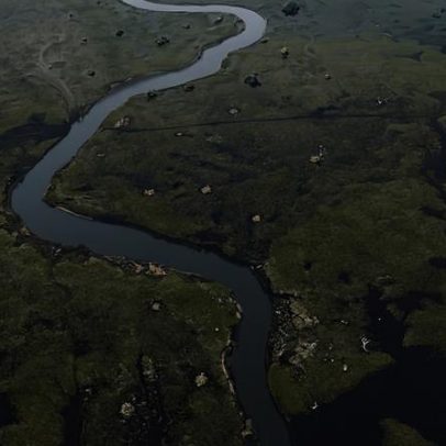 Pantanal se enche de água após anos de seca e incêndios