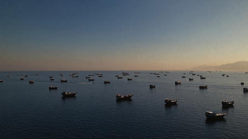 Numerosos barcos de pesca espalhados sobre o mar calmo sob céu azul claro, com montanhas ao fundo à direita.