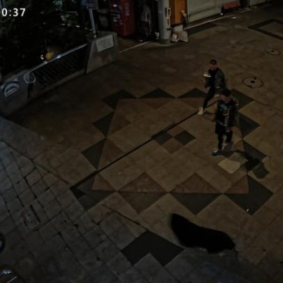 Urso causa suspensão de aulas em 94 escolas de cidade japonesa