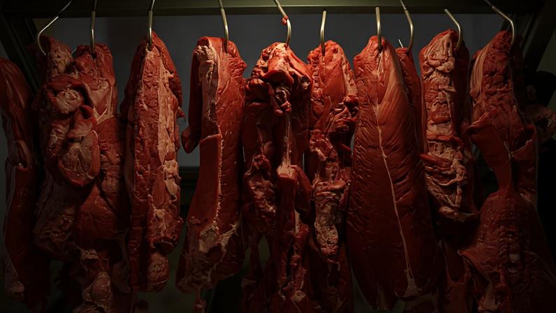 Diversos cortes de carne vermelha pendurados em ganchos metálicos dentro de uma vitrine de açougue, iluminados por luz artificial.