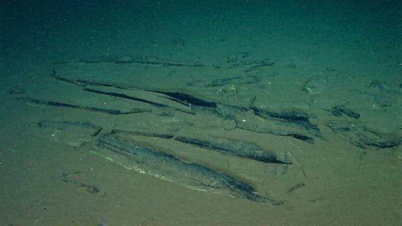 Vários pedaços de madeira escurecida e fragmentos dispersos no fundo arenoso do mar, indicando restos de uma embarcação naufragada.