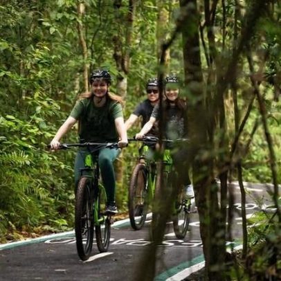 Ciclovia das Cataratas oferece trajeto pela mata preservada com asfalto