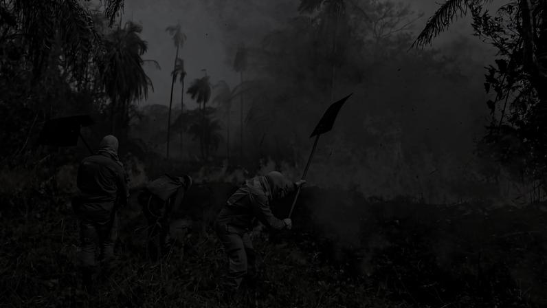 Bombeiros combatem incêndio em floresta que integra o pantanal, em Barão de Melgaço (MT)