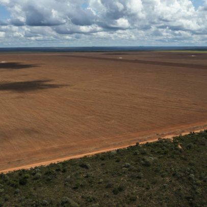 Desmate na Amazônia em maio fica próximo de mínima histórica