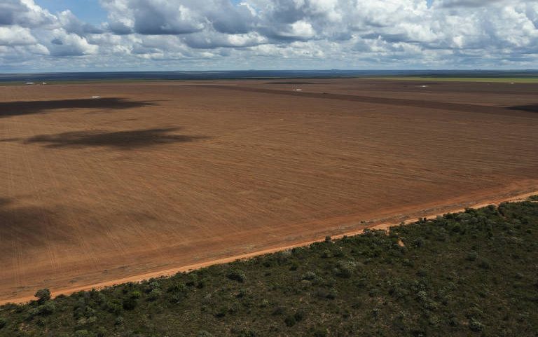 Área de cerrado desmatada para o plantio de soja em uma fazenda na região do Jalapão, no Matopiba (Maranhão, Tocantins, Piauí e Bahia)