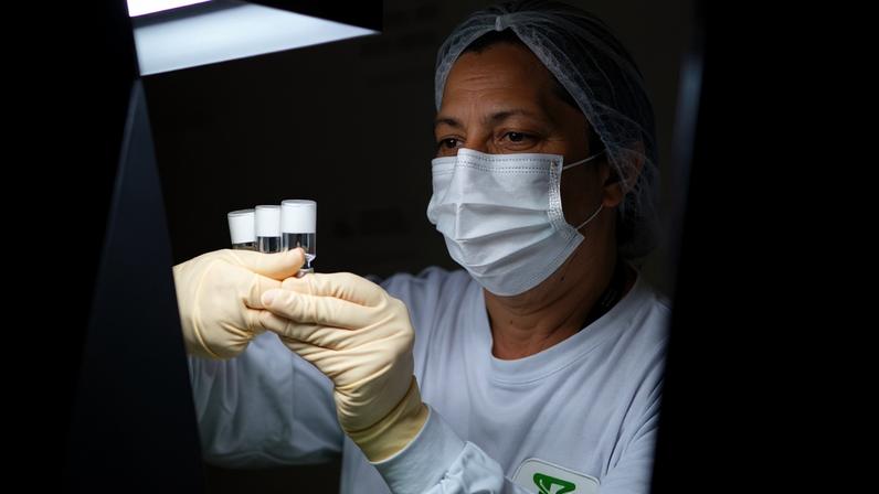 Profissional do Instituto Butantan, em São Paulo, trabalhando no desenvolvimento da vacina contra a dengue, chamada de Butantan-DV