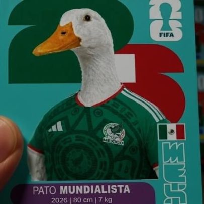Pato com camisa do México vira meme e figurinha