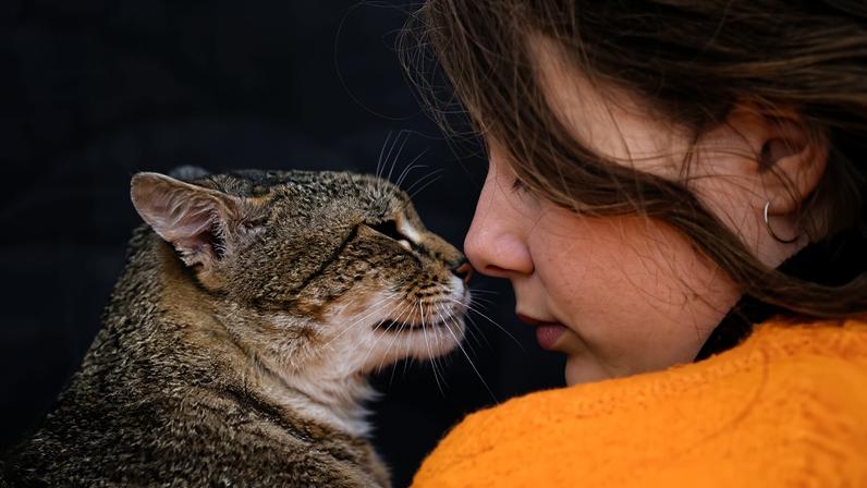 Mulher de perfil com cabelo castanho preso e blusa laranja encosta o nariz no de um gato tigrado cinza e marrom. Fundo escuro desfocado.