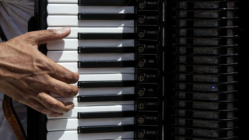 Músico toca sanfona no bloco Forrozin, no Carnaval de 2023, em São Paulo