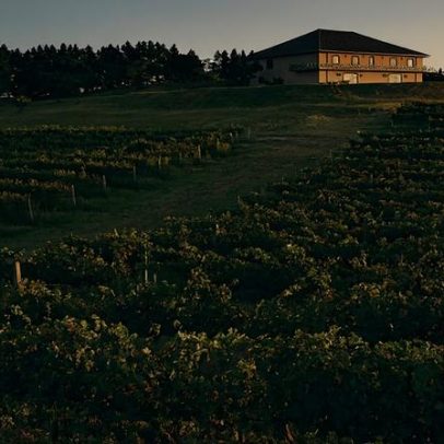 Quatro vinhos brasileiros ganham ouro no concurso da Decanter