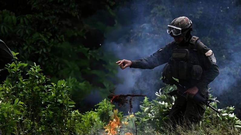 Um policial colombiano participa de uma operação de erradicação do cultivo ilegal de coca, no município de Villagarzón