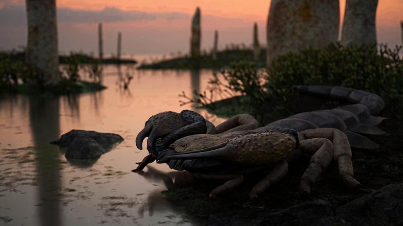 Reconstrução de Praearcturus gigas, uma espécie de escorpião do Devoniano Inferior