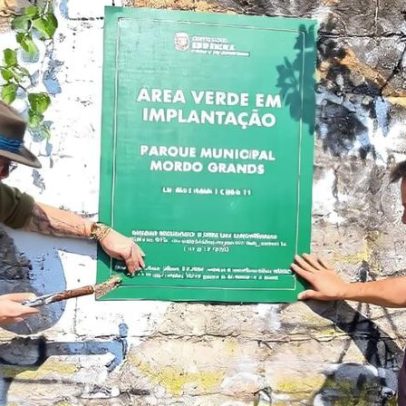 Comunidade do Morro Grande, em SP, luta há duas décadas por memória e natureza