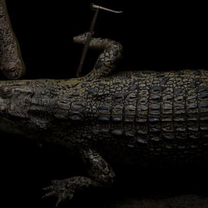 Homem é preso suspeito de jogar menino de 3 anos a crocodilos na Inglaterra