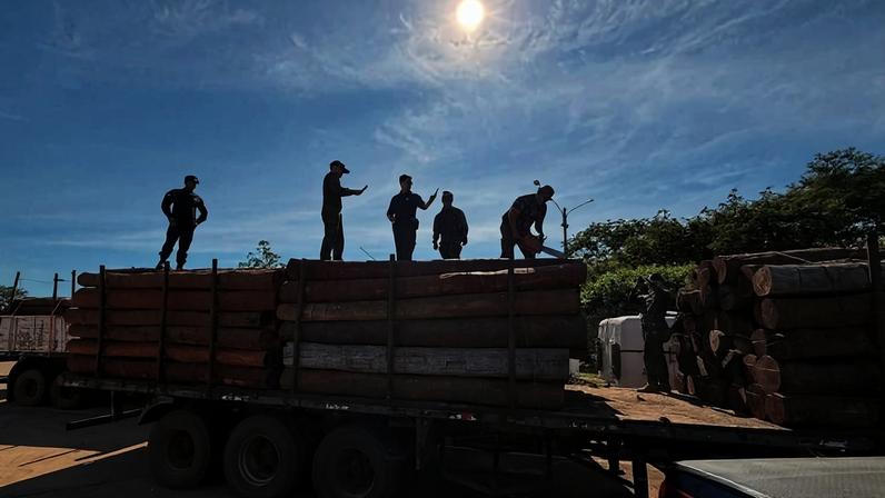 Cinco trabalhadores estão sobre um caminhão carregado com toras de madeira empilhadas. O sol brilha forte no céu azul com poucas nuvens. Ao lado, há outra pilha de toras e vegetação ao fundo.