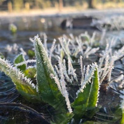 SC registra menor temperatura do ano; 44 cidades ficam abaixo de 0°C