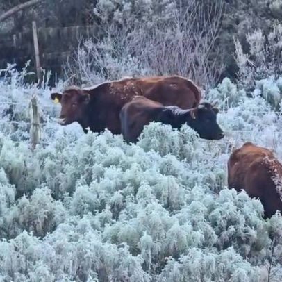 Frio nas trilhas brasileiras exige cuidados para evitar hipotermia