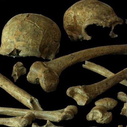 Neandertais europeus no fim da era eram saudáveis e férteis
