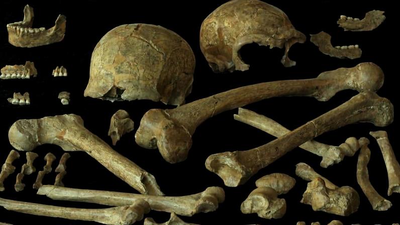 Ossos de neandertais encontrados na caverna de Spy, na Bélgica; no estudo, pesquisadores analisaram fragmentos encontrados nesse local