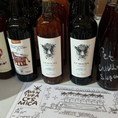 Biodiversidade brasileira e saberes ancestrais marcam feira de vinhos naturais em SP
