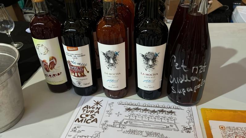 Seleção de vinhos apresentados pela vinícola biodinâmica Finca Cosmos, do argentino Raimundo Laugero, em Mendoza