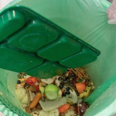 Falta de embalagens compostáveis restringe reciclagem do lixo orgânico