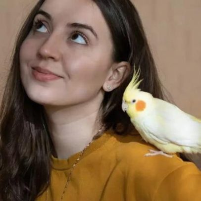 Ter uma ave em casa: o que diz a lei e como garantir bem-estar ao animal