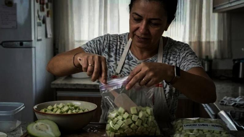 Como congelar chuchu / SaúdeLab