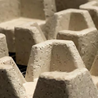 Fungos permitem cultivar tijolos e casas sustentáveis no futuro